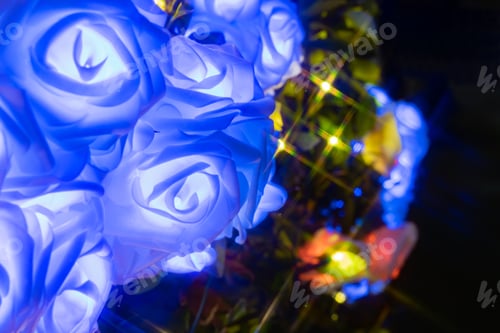 Preview: Illumination Of Gotemba Tokinosumika(Rose Illumination)