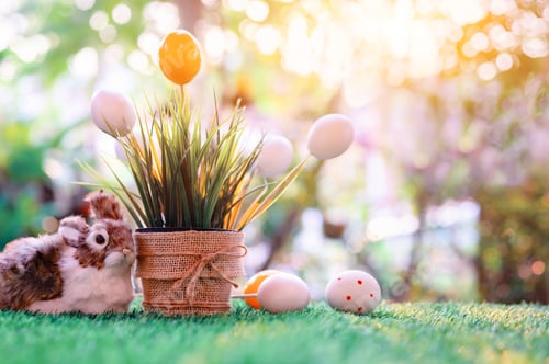 Preview: Happy Easter. Colorful Painting Eggs For Celebrate In April. Preparing And Painting For Family