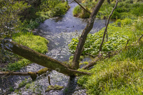 Preview: Kakita River In Japan