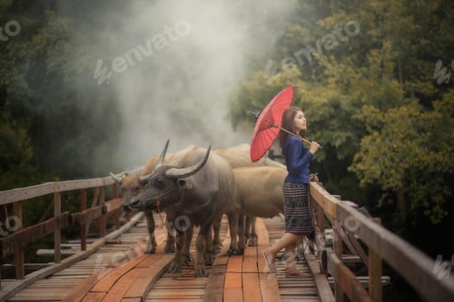 Preview: Thai Woman Wearing Typical Thai Dress, On Bridge And Buffalo Background, Identity Culture Of