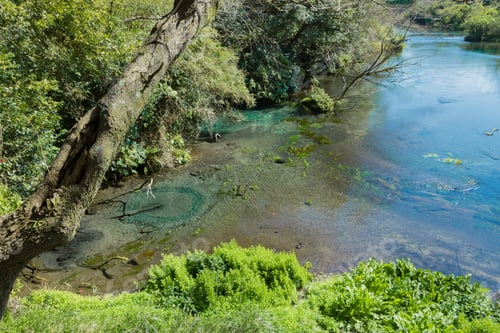 Preview: Kakita River In Japan