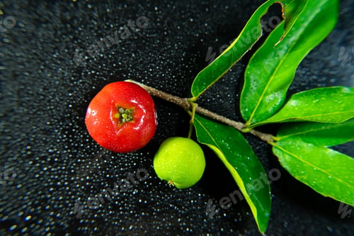 Preview: Close Up Acerola Cherry Fruit With Water Drop And Bokeh Light On Black Background. (Malpighia
