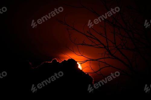 Preview: Silhouette Of Tree Branches On Darky Sunset Sky Background With Dark Cloud And Light.