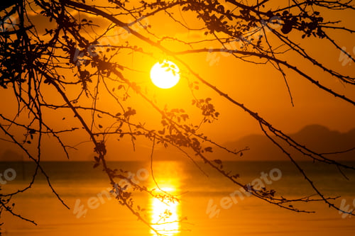 Preview: Silhouette Branch With Sunset Sky At The Lake Background