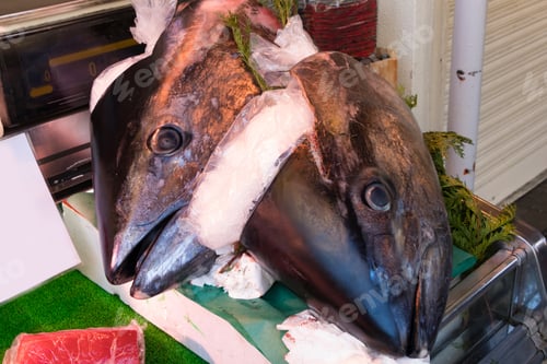 Preview: Scenery Of Tokyo Tsukiji