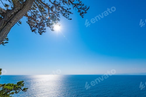 Preview: A View Seen From Koganesaki Park, Nishiizu-Cho, Kamo-Gun, Shizuoka Prefecture