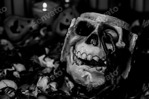 Preview: Halloween, Decoration For The Party