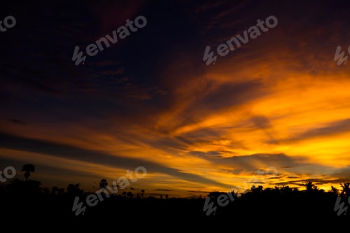 Preview: Twilight Sky With Multicolor Cloud With Silhouette Forest.