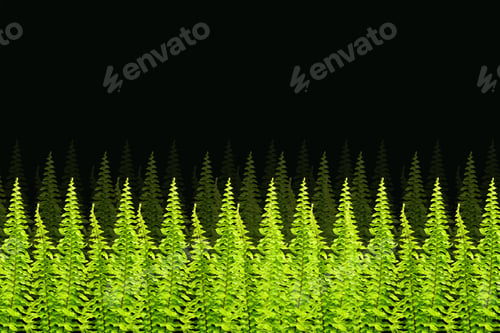 Preview: Green Boston Fern. Scientific Name: Nephrolepis Exaltata (L) Schott.