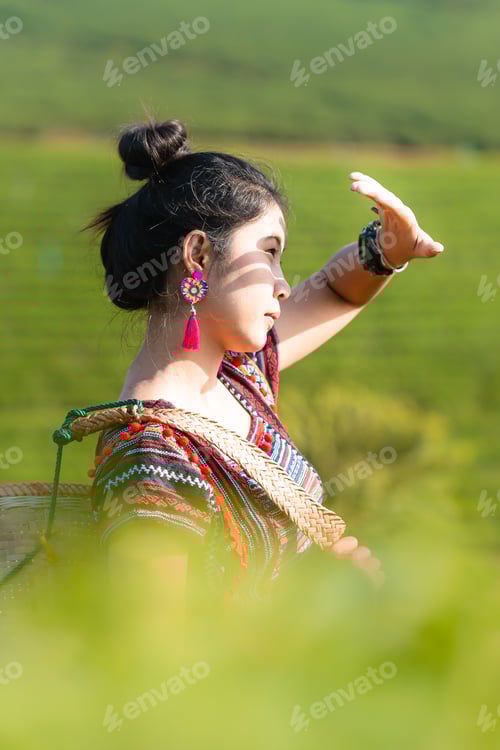 Preview: Beautiful Asian Woman Harvesting Tea Leaves In The Morning, Tea Leaves In The Field Of Tea
