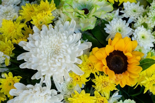 Preview: Close Up Sunflowers And Chrysanthemum Flower In The Wedding Background.