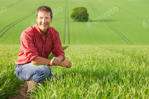 Preview: A Portrait Of A Happy Farmer Kneeling Down In A Wheat Field While Holding A Crop In His Hand