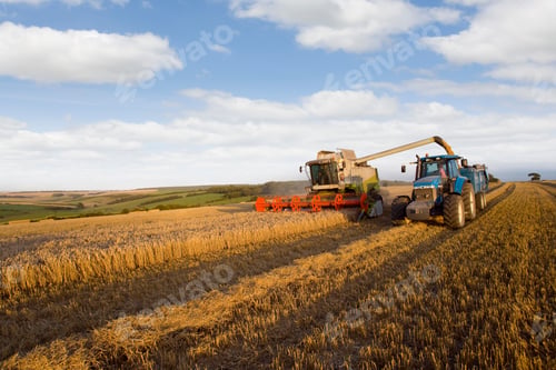 Preview: A Combine Harvester And A Filling Trailer Harvesting Wheat In A Sunny Rural Field.