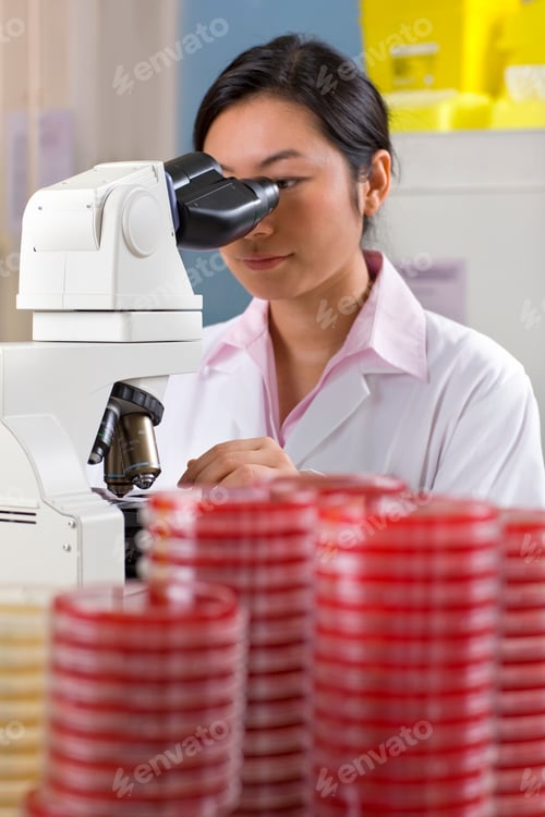 Preview: A Portrait Shot Of A Female Technician Looking Into A Microscope With Petri Dishes In Foreground.