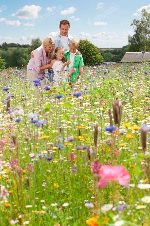 Preview: A Vertical Shot Of A Happy Family Looking At Wildflowers In A Sunny Field With Flowers In