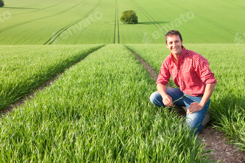 Preview: A Wide Horizonal Portrait Of A Smiling Farmer Crouched Down In A Wheat Field While Holding A Crop