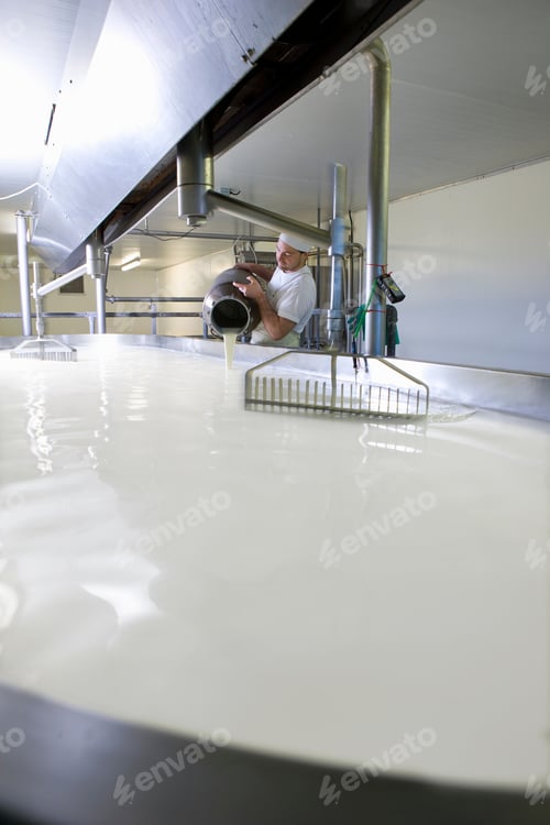 Preview: A Portrait Shot Of A Cheese Maker Mixing Rennet With Milk To Begin Cheddar Cheese Making Process.