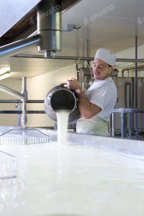 Preview: A Medium Vertical Shot Of A Cheese Maker Mixing Rennet With Milk To Begin Cheddar Cheese Making