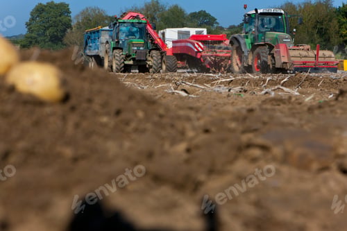 Preview: A Low Angle Shot Of Tractors Harvesting Potatoes In A Sunny Rural Field With Soil In Foreground.