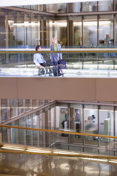 Preview: A Full-Length Vertical View Of A Businessman In A Wheelchair Talking To A Businesswoman In The