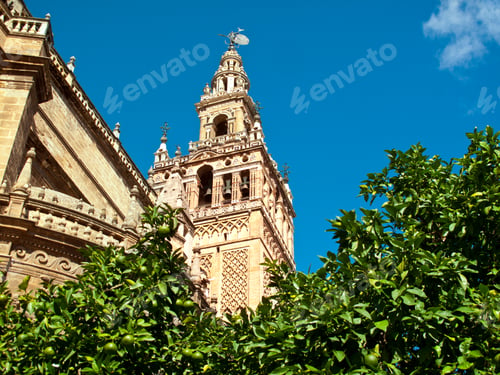 Preview: Citrus Tree And Ornate Cathedral, Seville, Spain