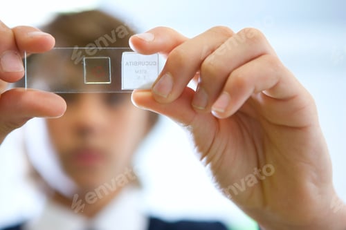 Preview: A Low Angle Close Up Shot Of A Young Boy' Hands In School Uniform Holding A Microscope Slide.