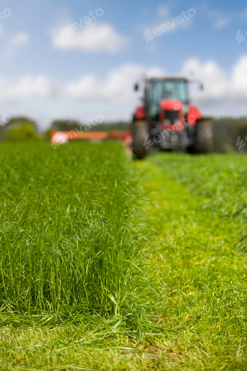 Preview: A Close Up Of Fresh Green Grass About To Get Cut By The Mowing Tractor Softly Blurred In The