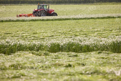Preview: A Side View Of A Red Tractor In Selective Focus Moving At A Distance While Cutting The Silage