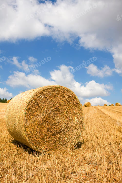 Preview: A Vertical View Of Hay Being Harvested Into Rolled Up Straw Bales On A Vast Farm Field Against The