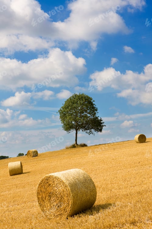 Preview: A Vertical View Of Hay Being Harvested Into Rolled Up Straw Bales On The Slopes Of A Farm Field