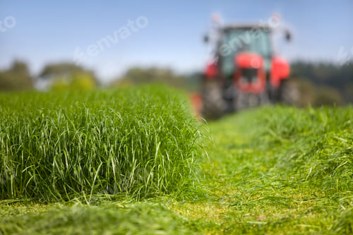 Preview: An Out Of Focus Red Mowing Tractor Charging Forward While Cutting The Grass For Silage In Stripe