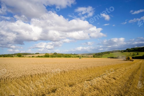 Preview: A Wide Shot Of A Combine Harvesting Wheat With Clouds Over A Sunny Rural Field.