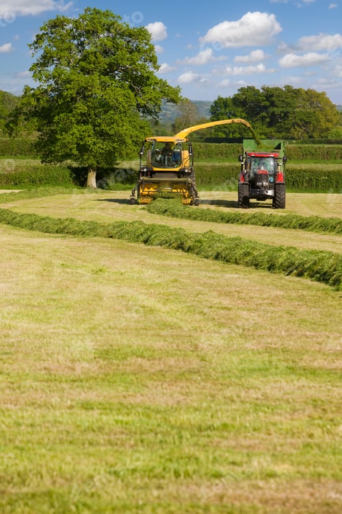 Preview: A Front View Of A Tractor Loading Silage Into The Truck In A Farm Land On A Bright Sunny Day