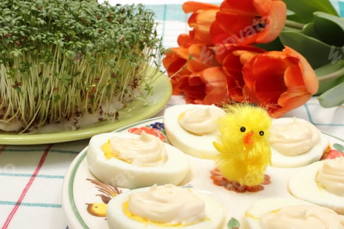 Preview: Closeup Of Yellow Easter Chicken And Halves Of Eggs With Mayonnaise On Colorful Plate, Fresh