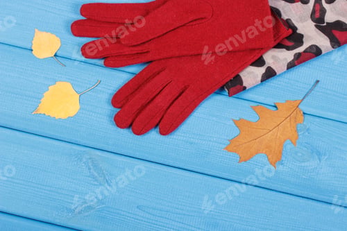 Preview: Gloves And Colorful Shawl For Woman On Boards. Warm Clothing For Autumn Or Winter