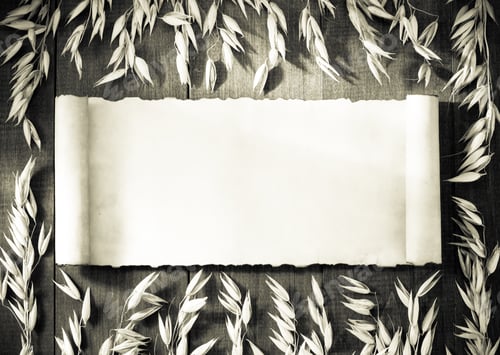 Preview: Ears Of Oat On Wooden Background