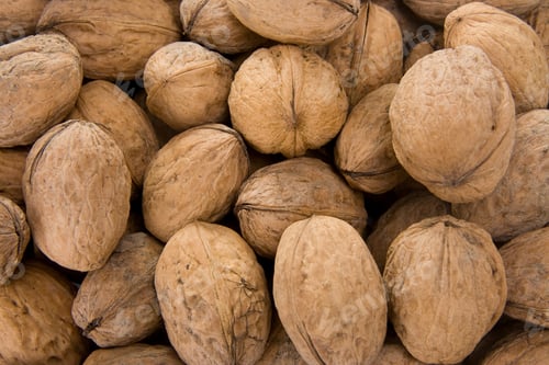 Preview: Walnut As Whole Background Texture