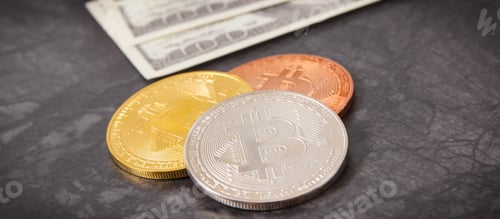 Preview: Bitcoin Coins With Dollar, Choice Between Traditional Money And Cryptocurrency, International