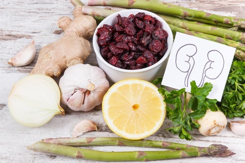 Preview: Drawing Of Kidneys And Healthy Eating As Source Natural Vitamins And Minerals