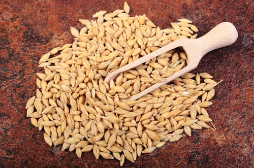 Preview: Heap Of Organic Whole Barley Grain With Wooden Spoon