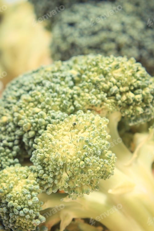 Preview: Fresh Green Broccoli As Source Natural Vitamins And Minerals. Healthy Eating Concept