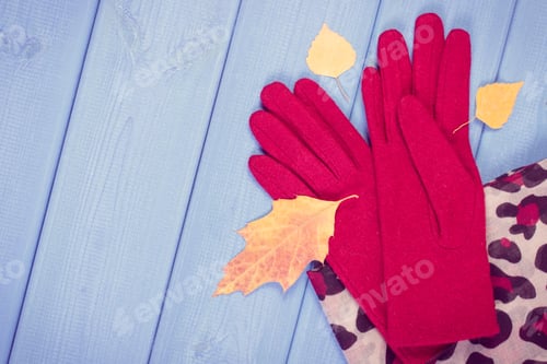 Preview: Vintage Photo, Woolen Gloves And Colorful Shawl For Woman On Boards, Womanly Accessories, Warm