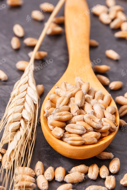 Preview: Cereal Seeds With Wooden Spoon And Ears Of Rye Or Wheat Grains