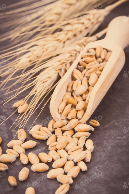 Preview: Rye Or Wheat Grains With Wooden Spoon And Ears Of Cereal. Vintage Photo