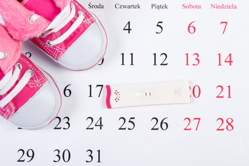 Preview: Pregnancy Test With Positive Result And Baby Shoes On Calendar With Polish Inscription Days