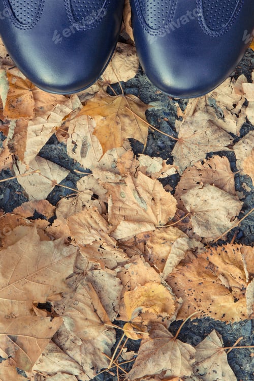 Preview: Comfortable Casual Navy Blue Leather Shoes On Asphalt Road Or Footpath With Autumnal Leaves. Male