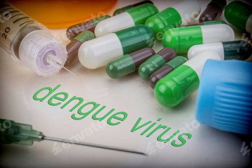 Preview: Dengue Virus, Medicines And Syringes As Concept Of Ordinary Treatment Health