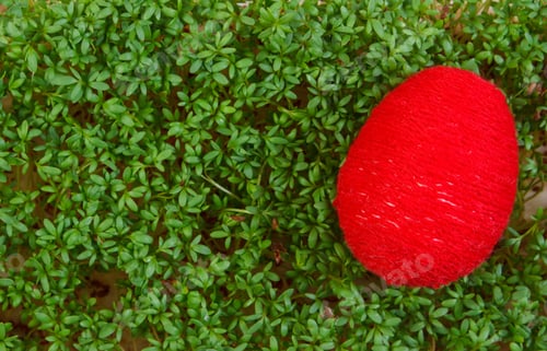 Preview: Easter Eggs Wrapped Woolen String And Fresh Green Cuckooflower Cress, Copy Space For Text Or