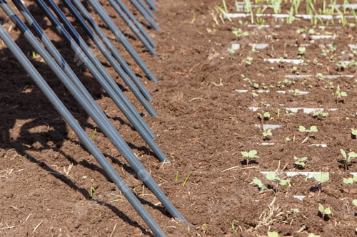 Preview: Part And Detail Of Agricultural Rotary Harrow On Cultivated Field. Modern Technology In Agriculture