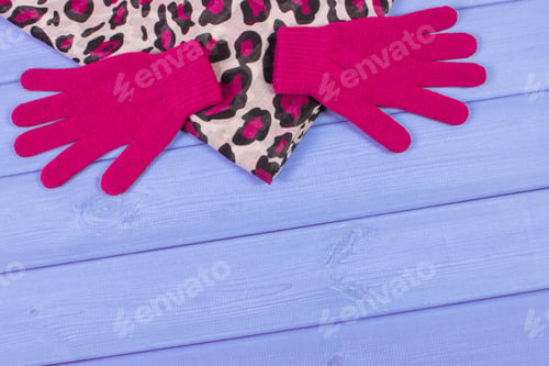Preview: Woolen Gloves And Colorful Shawl For Woman. Warm Clothing For Autumn Or Winter. Place For Text On